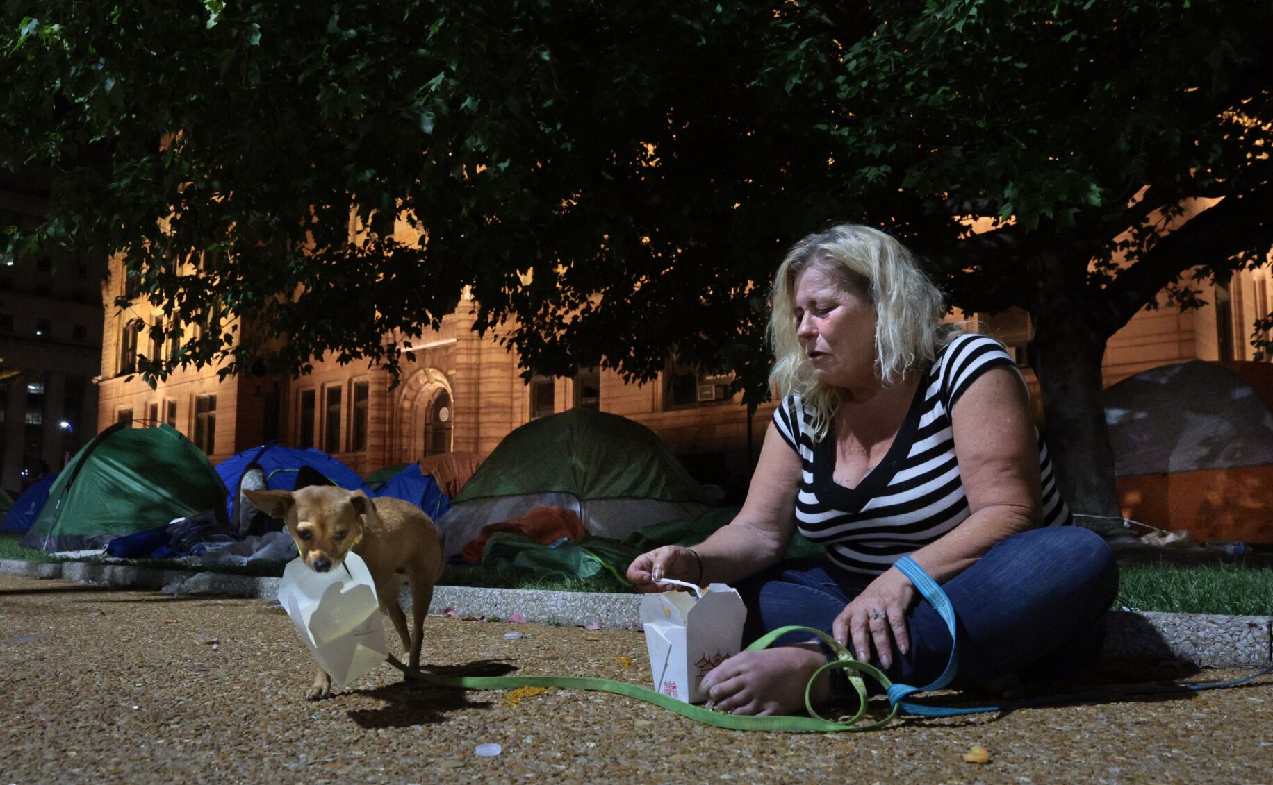 City Hall tent camp threatened with closure